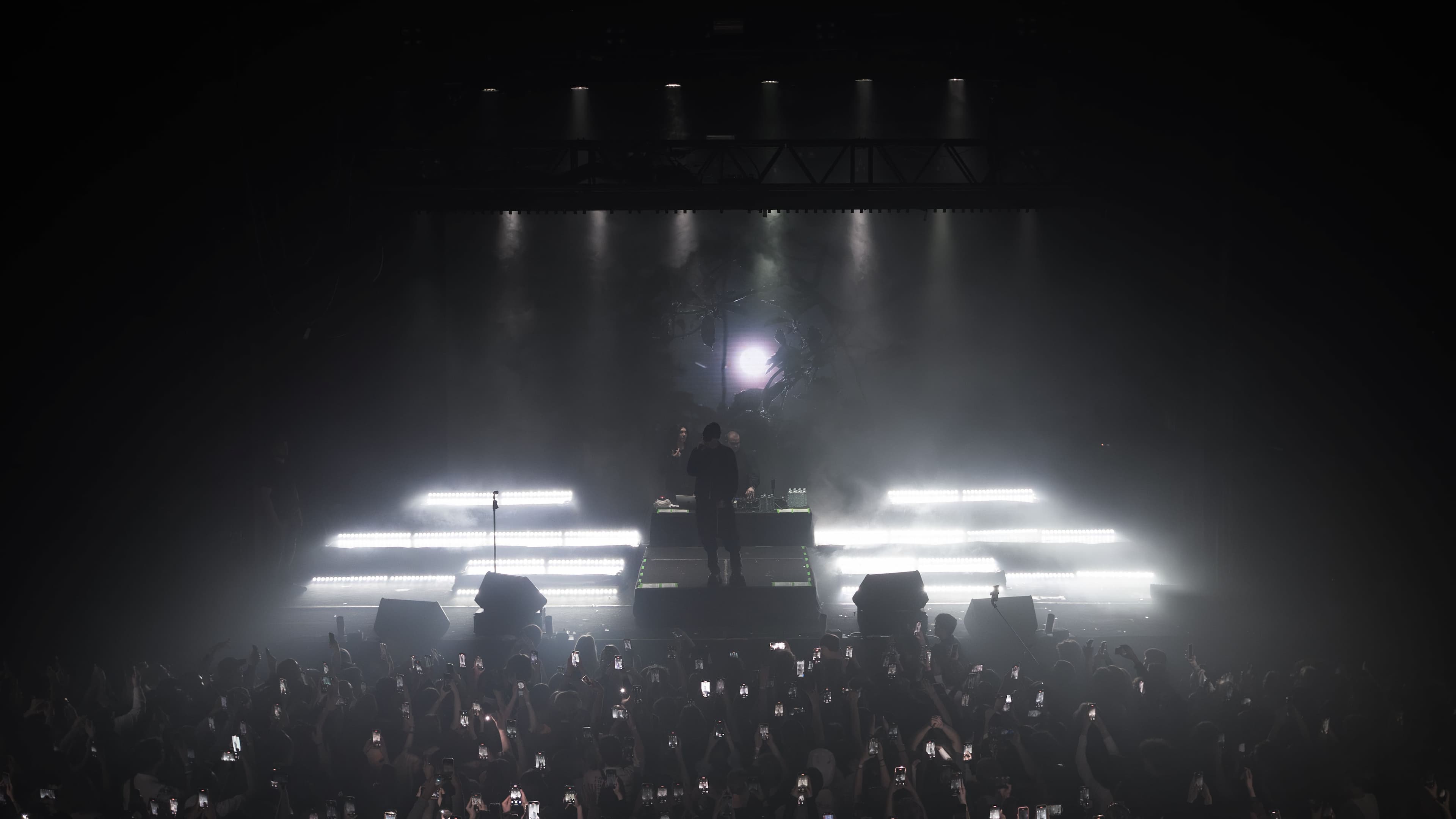 NEWLIGHTCHILD · frame 1